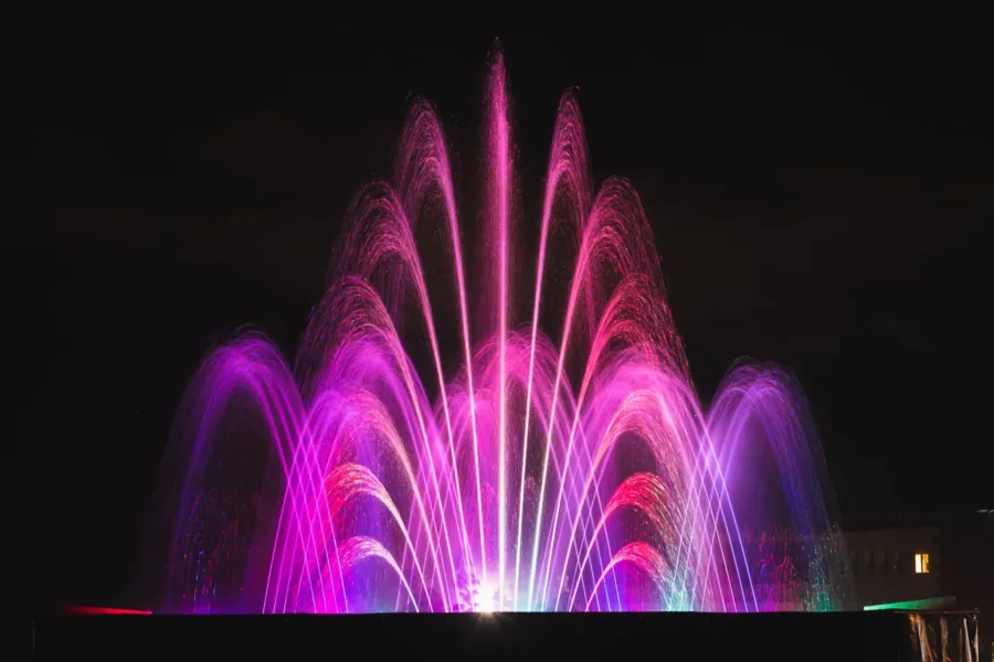 Royal - immagine 8