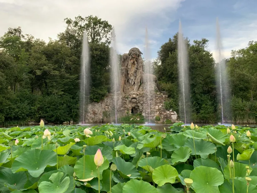 Allestimenti d'acqua - immagine 3