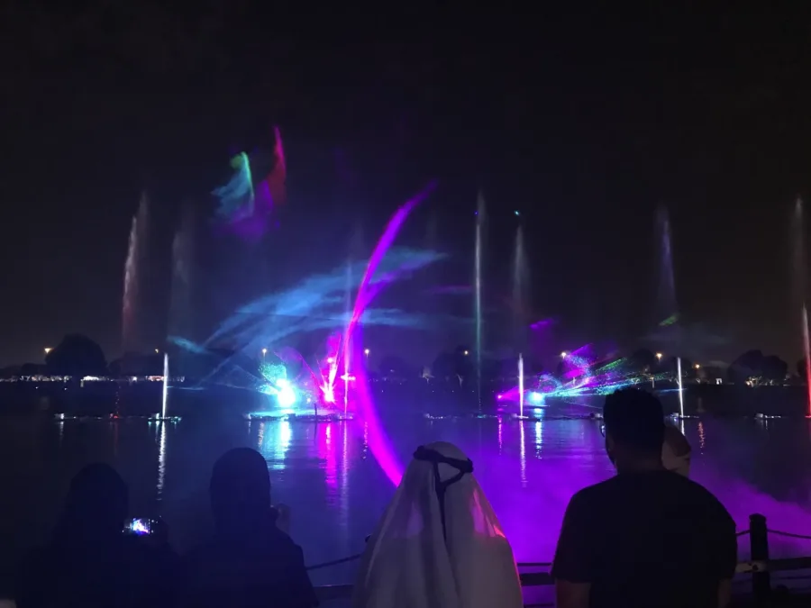 Fairycubes  <br> Color Laser Show - immagine 2